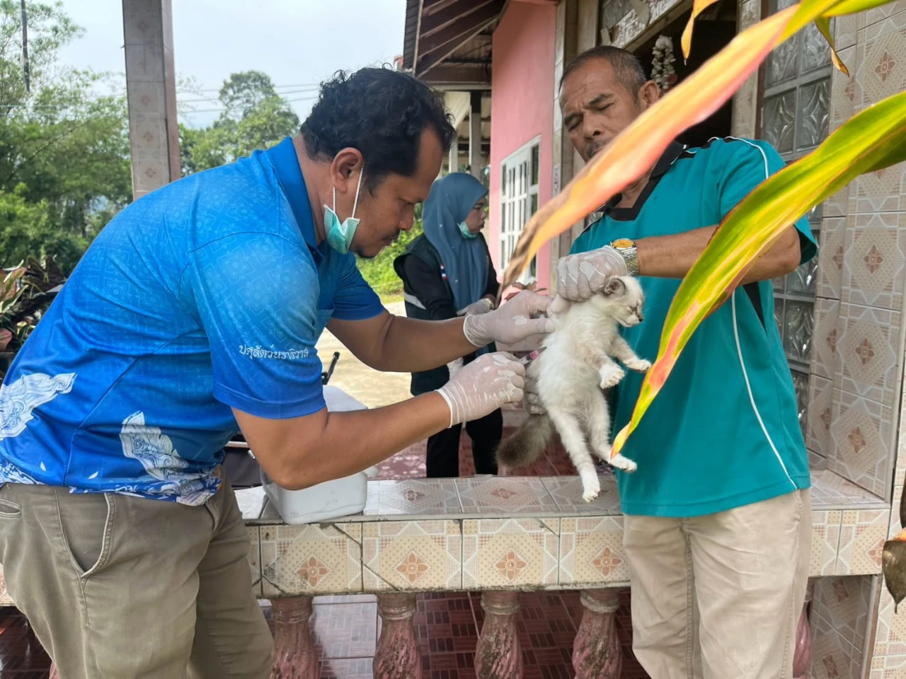 catalogs_file_281_32_45_632224.webp